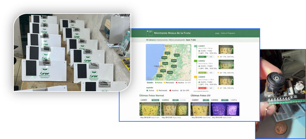 Trampas Smart IoT